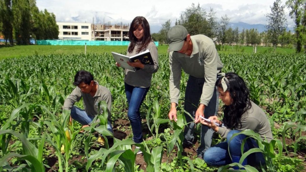 agro-1280x720