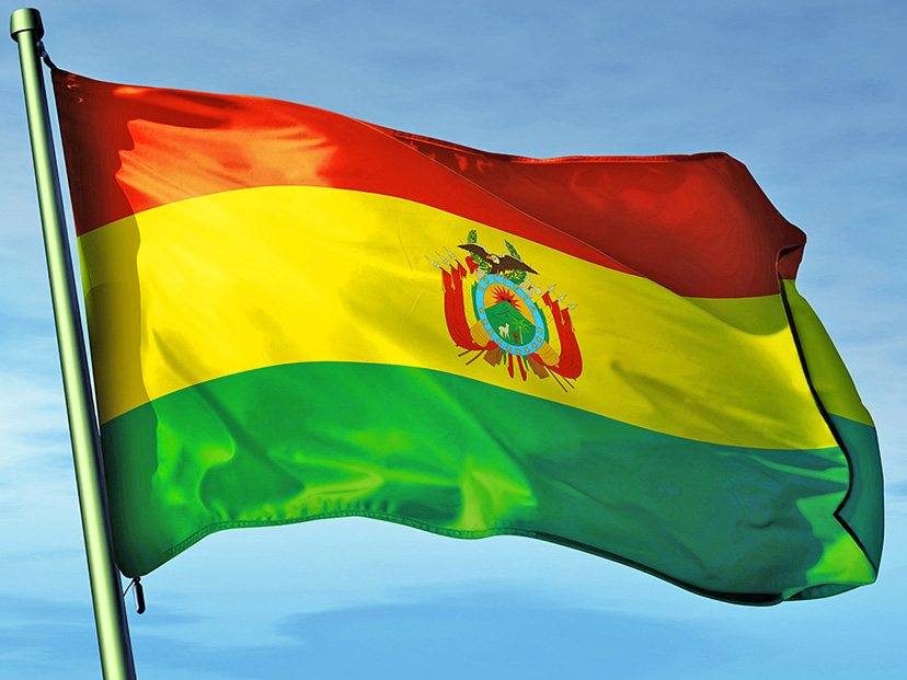 Bandera de Bolivia: historia, origen y significado