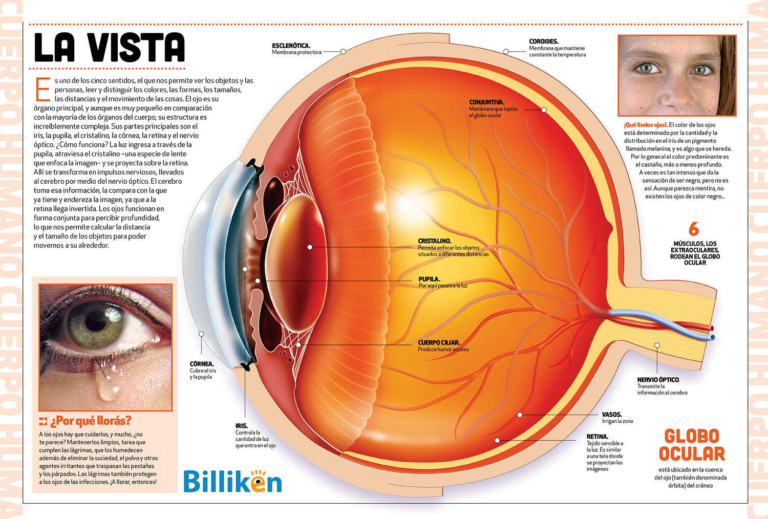 Cuál Es El Sentido De Esta Imagen billiken.lat