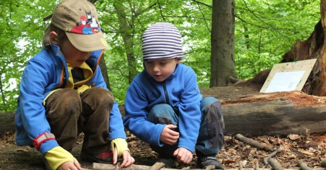 ¿Qué son las Escuelas Bosques? Billiken