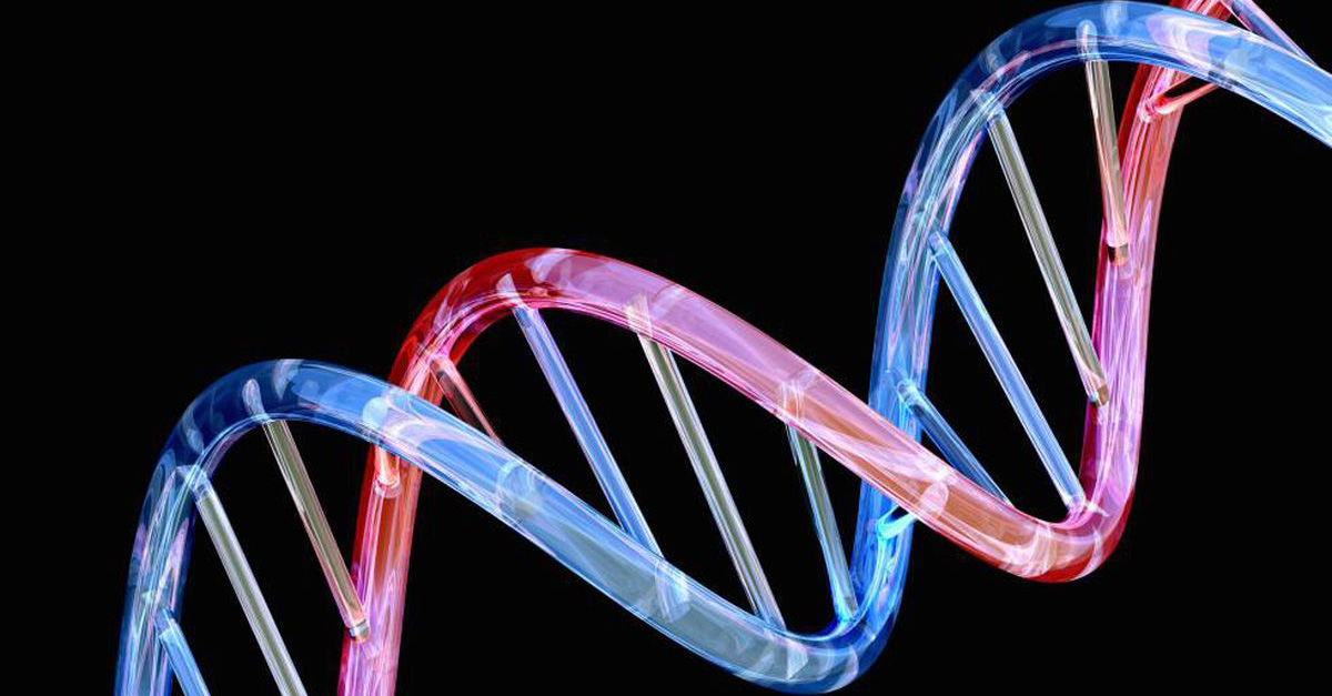 El Código Del Genoma Humano Por Fin Está Completo Billiken