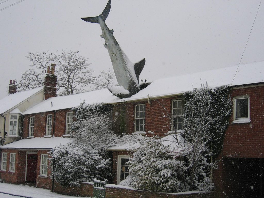 The Shark House con nieve.