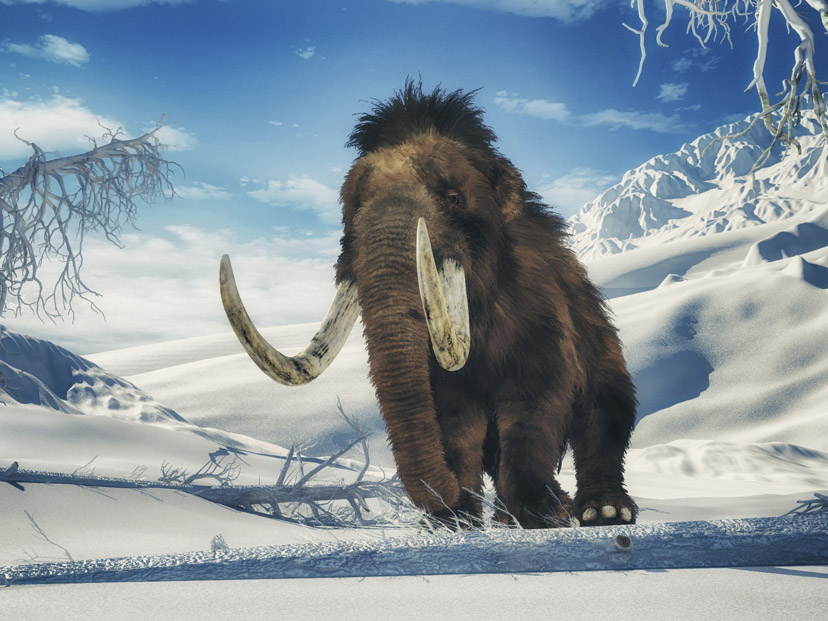 desextinción mamut dinosaurio genética
