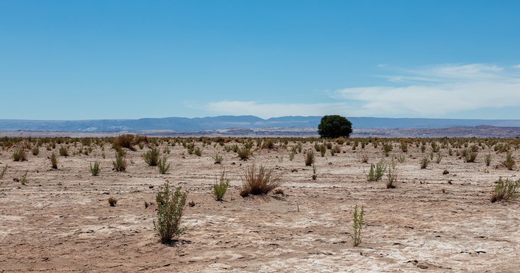 Atacama, el desierto más seco del mundo
