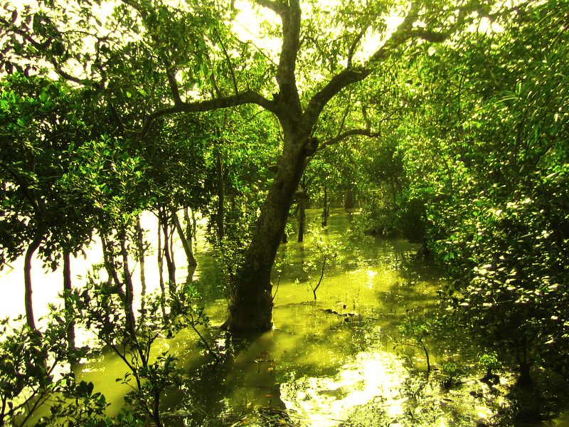 Áreas naturales de Bangladesh.