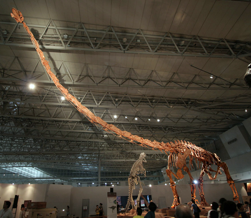 Esqueleto del saurópodos, la especie que dejó las primeras huellas de dinosaurio "pintadas".
