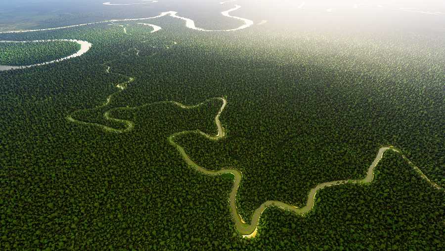 Vista aérea del río Amazonas. 