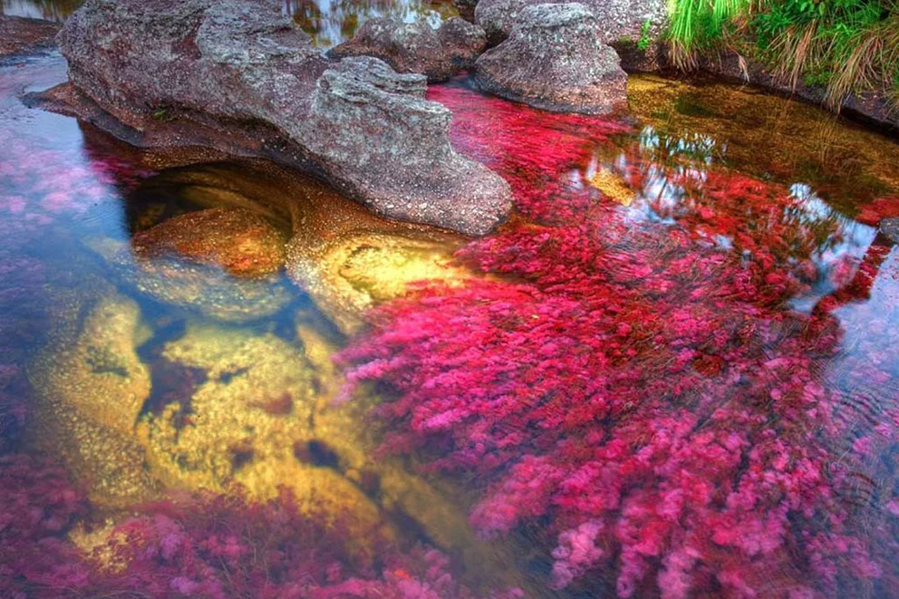 El río de colores en Colombia