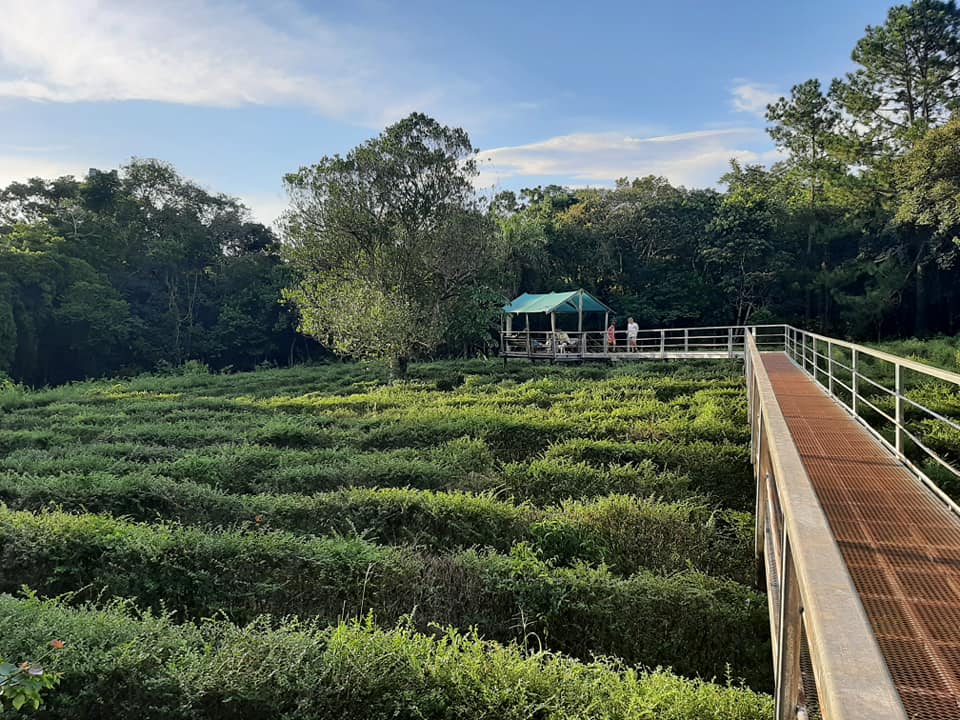 Mirador ubicado en el centro del laberinto vegetal más grande de Sudamérica. 