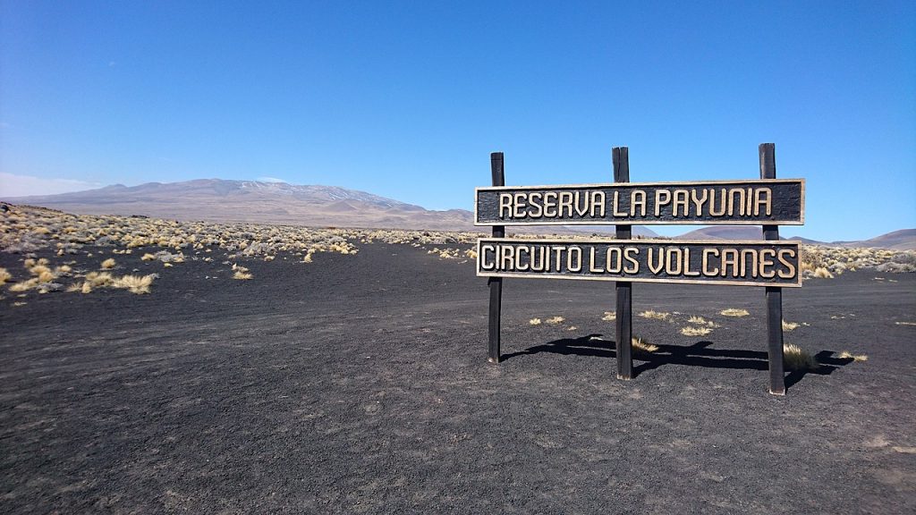 Reserva La Payunia y su desierto negro. 
