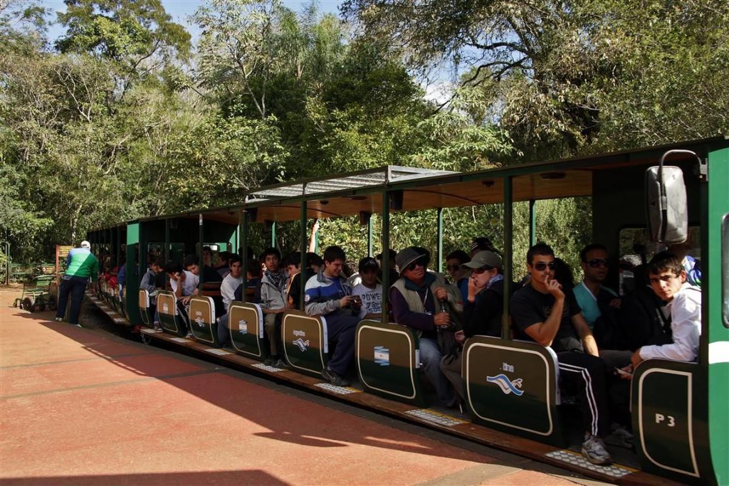 Tren Ecológico de la Selva en funcionamiento. 