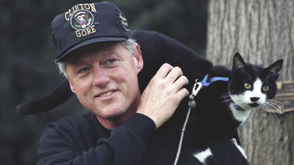 El Día Internacional del Gato se celebra por "Socks", el gato del entonces presidente de los Estados Unidos, Bill Clinton