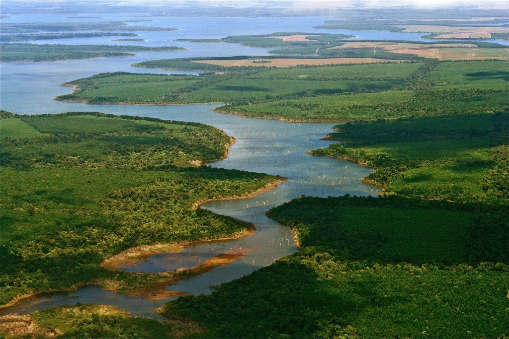 Esteros del Iberá, uno de los humedales más grandes del mundo