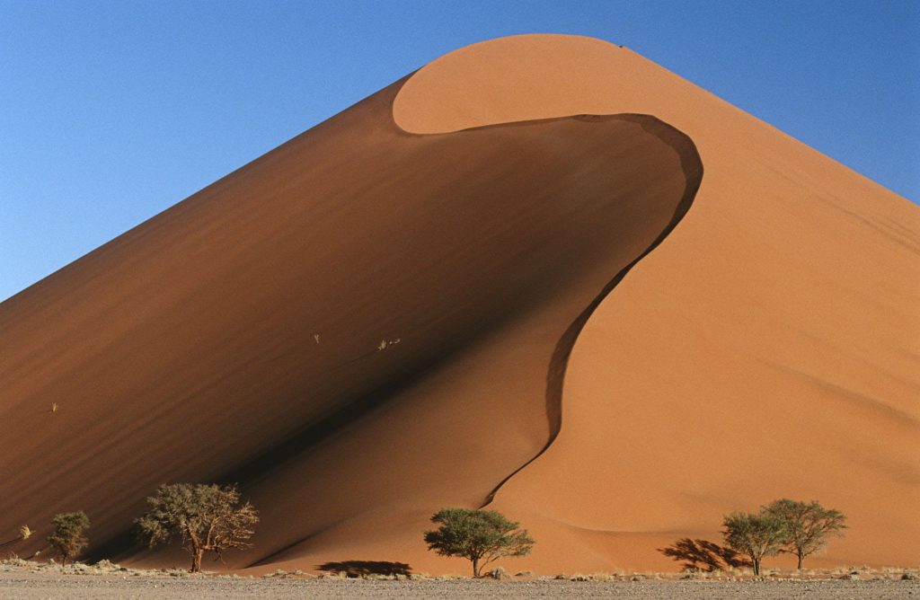 Dunas del desierto más antiguo del mundo.