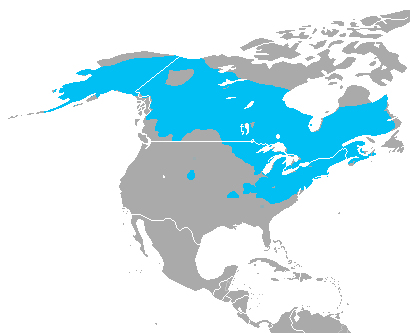 Sector de América del Norte en donde habita la rana de madera. 