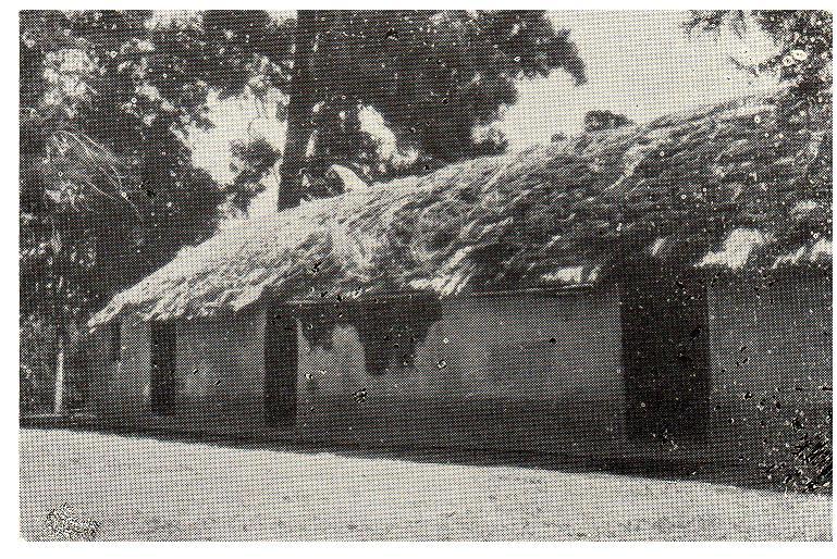 Foto antigua del Rancho de Rosas, en su ubicación original. 