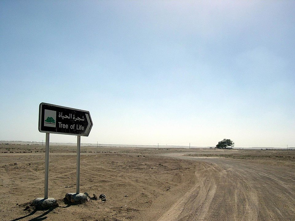 Camino que conduce la ruta más cercana con el Shajarat-al-Hayat.