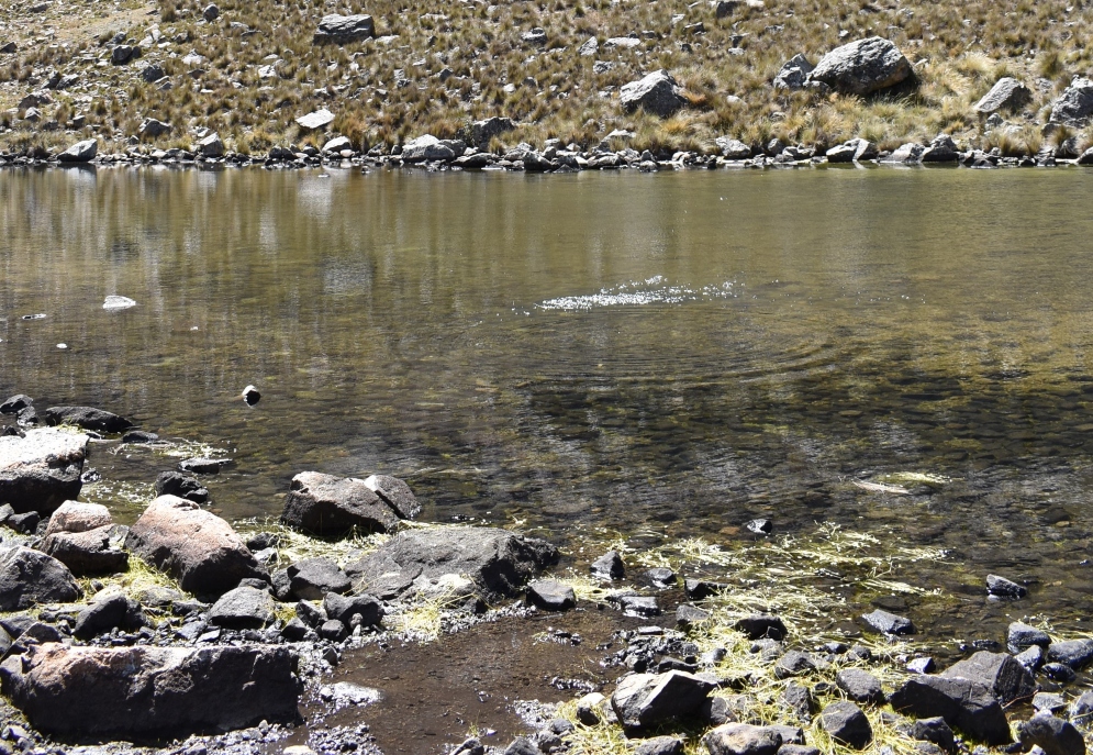 Agua de lluvia acumulada en la represa “Ricococha Alta” de Perú. 