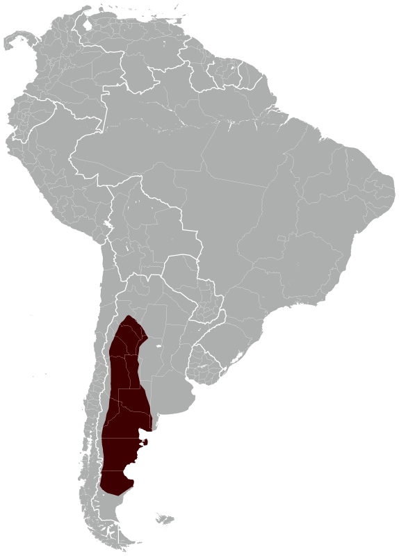 Lugares de Argentina donde habita la mara.