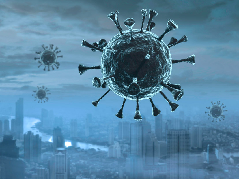 Virus: ¿cuáles son los más peligrosos en la historia de la humanidad?