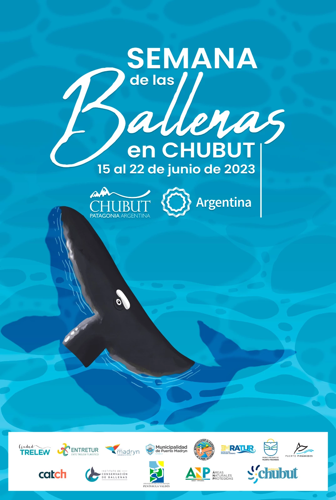 Ballenas En Puerto Madryn Comienza La Temporada De Avistaje Billiken