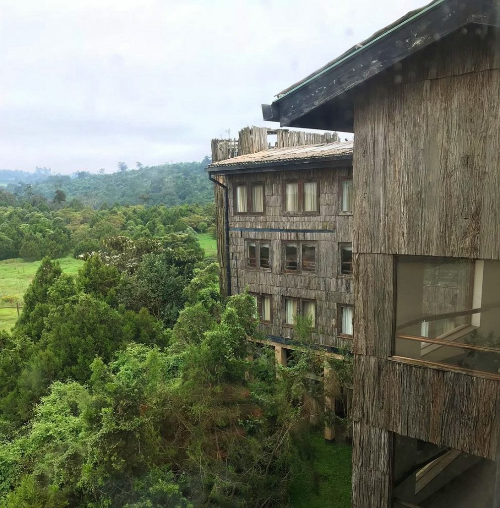 “Treetop Lodge”, el hotel keniano que fue construido entre las ramas de un árbol