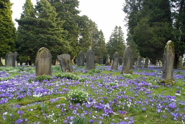 Cementerio antiguo con flores. 