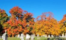 cementerio