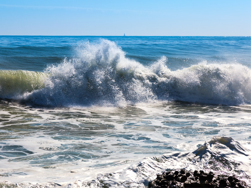 Olor del mar: ¿por qué a algunas personas les gusta y a otras les resulta desagradable?