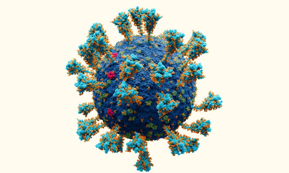 Virus covid - 19