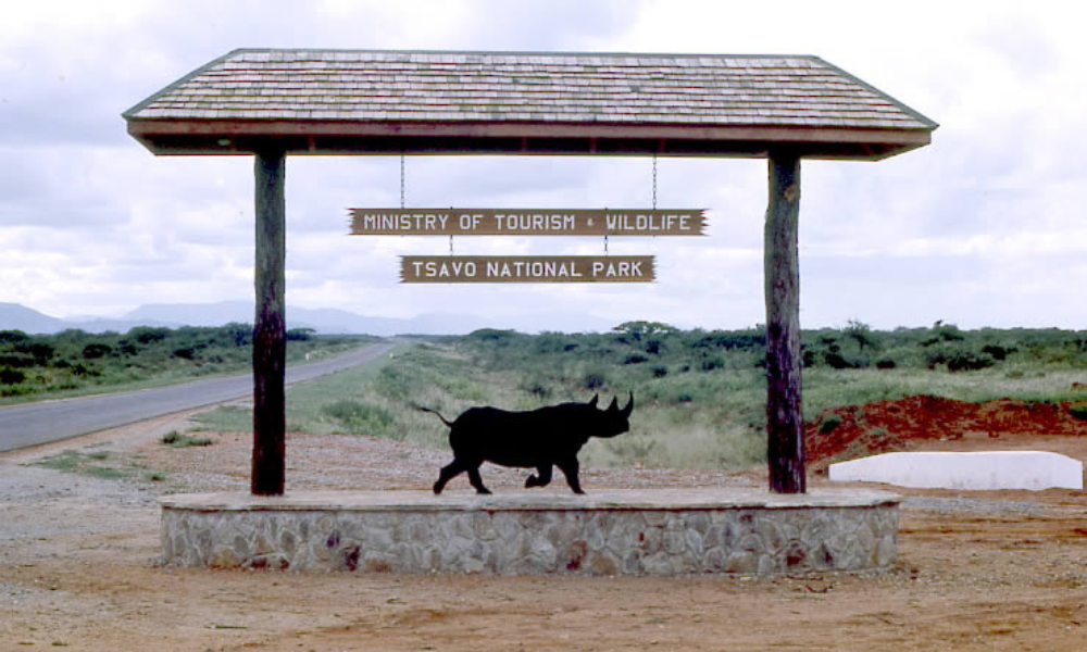 Parque Nacional Kenia