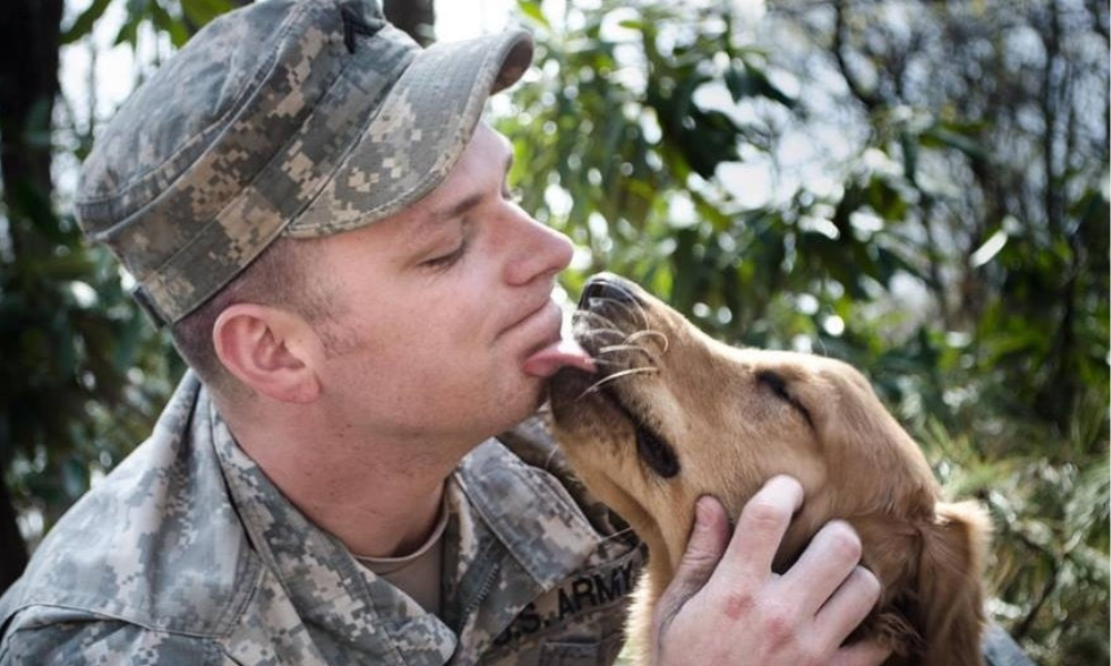 perro marrón lame a hombre con atuendo militar