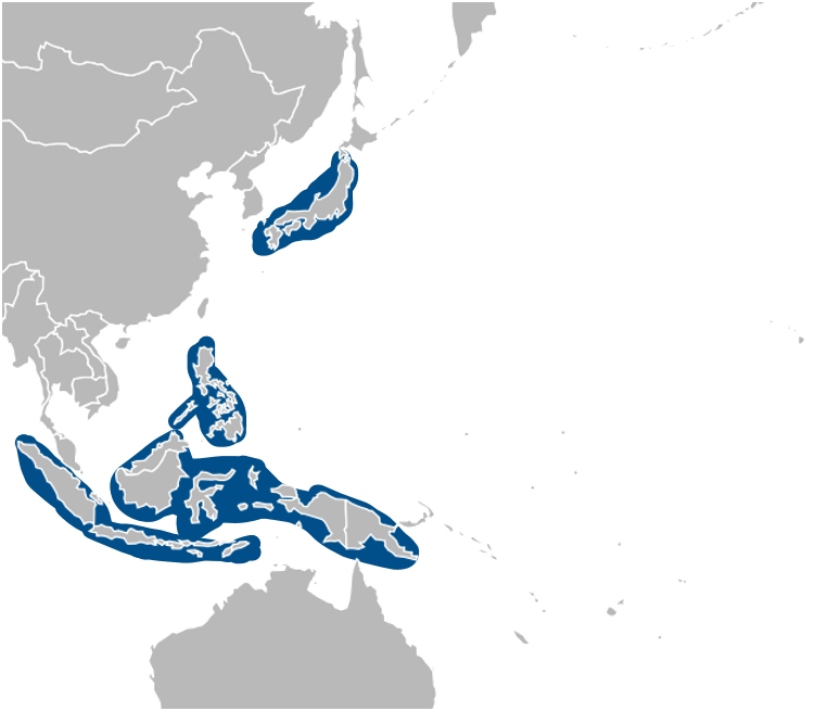 En azul, los sectores de Asia y Oceanía donde habita la oveja de las hojas.