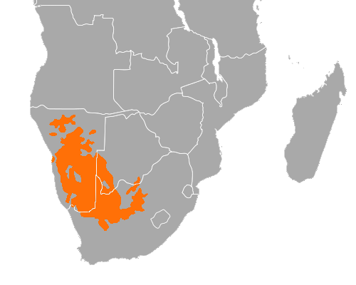 En naranja, los sectores de África donde habita el tejedor sociable, creador de los nidos más grandes del mundo.