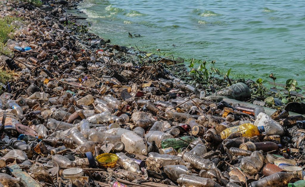 botellas contaminación en la costa de un mar verde