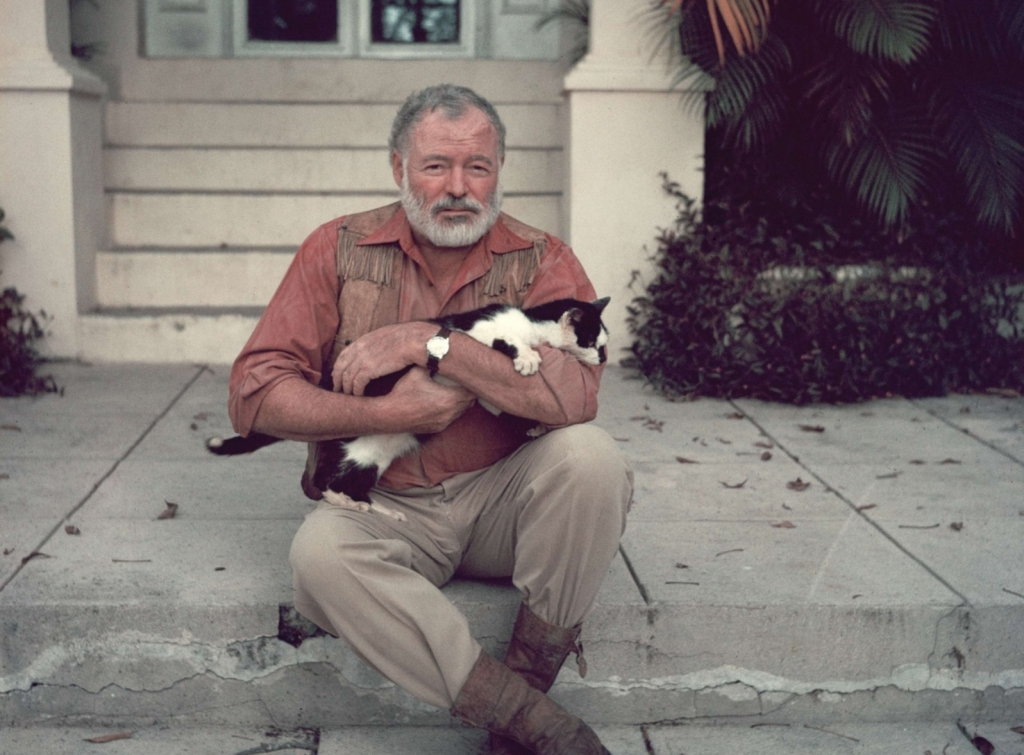 Ernest Hemingway y uno de sus gatos. Se aprecia la polidactilia en una de sus patas. seis dedos. casa house