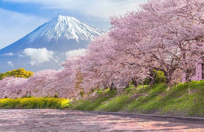 Japón, como uno de los paraísos de la Tierra.