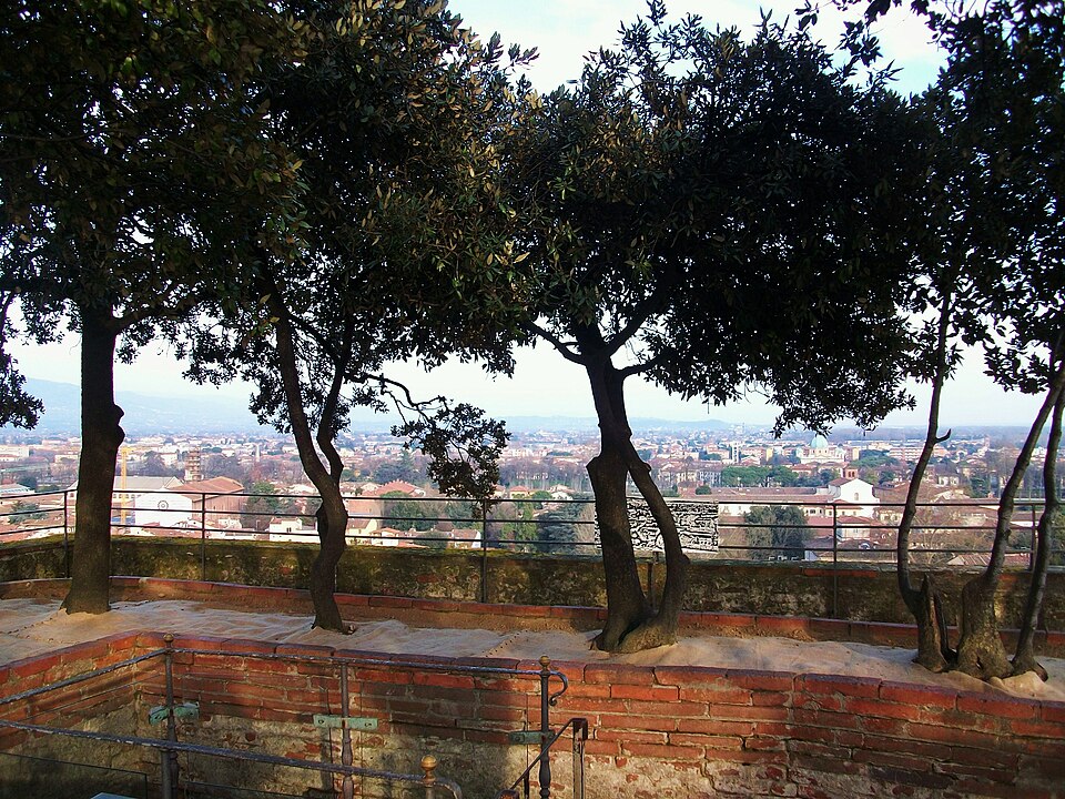 Jardín que se conserva en la Torre Guinigi de Italia. 