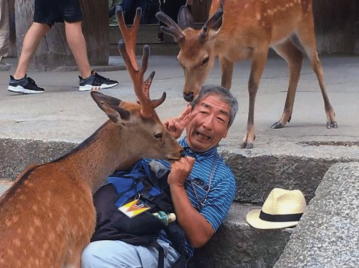 hombre en parque donde los ciervos son plaga en japón