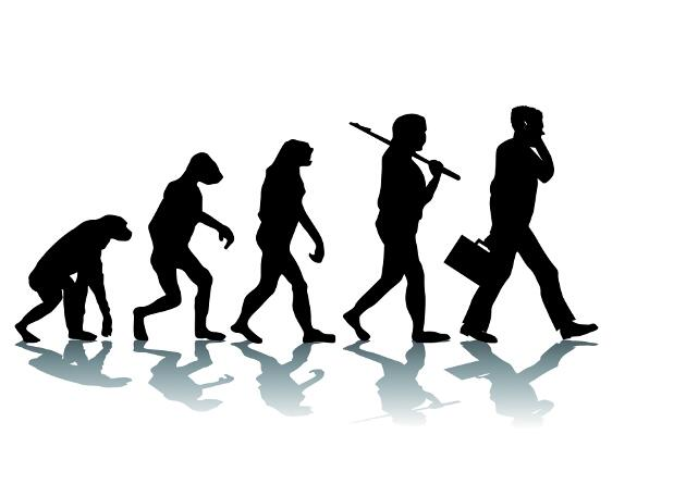 evolución humana de mono a hombre actual