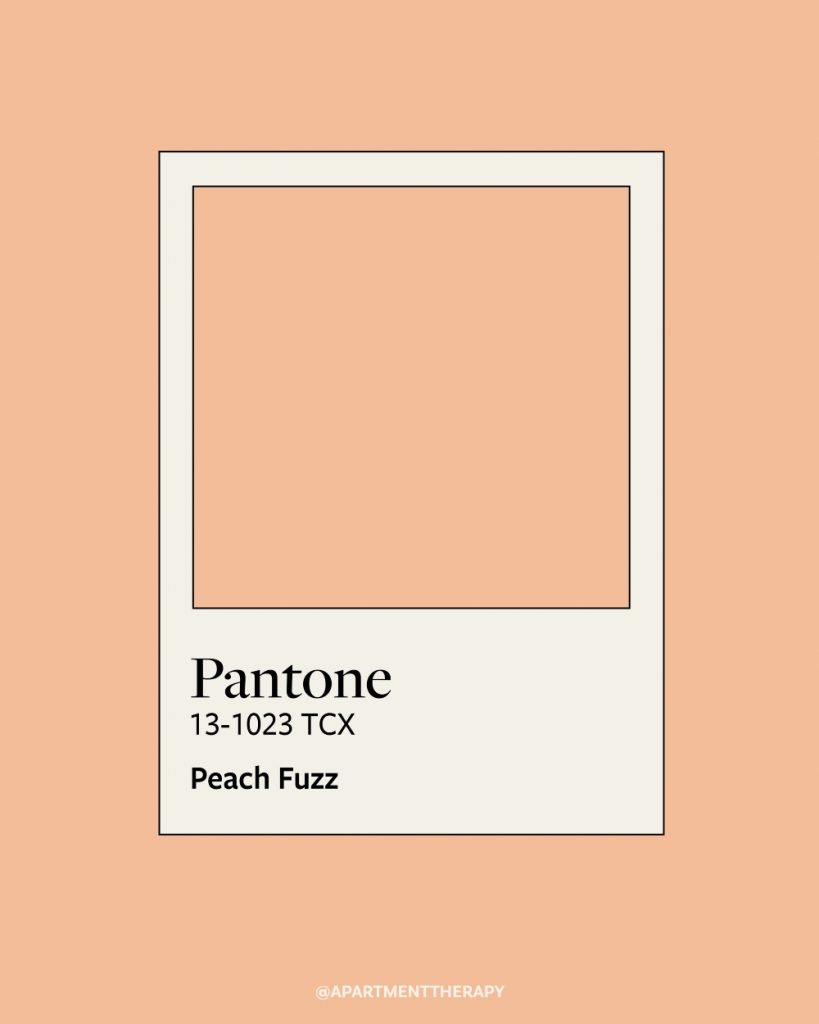 Peach Fuzz como el color del 2024.