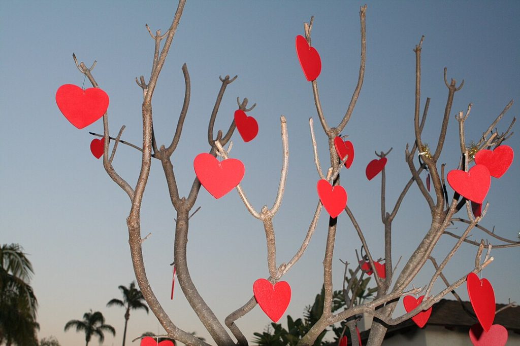Corazones, en representación del Día de San Valentín. 