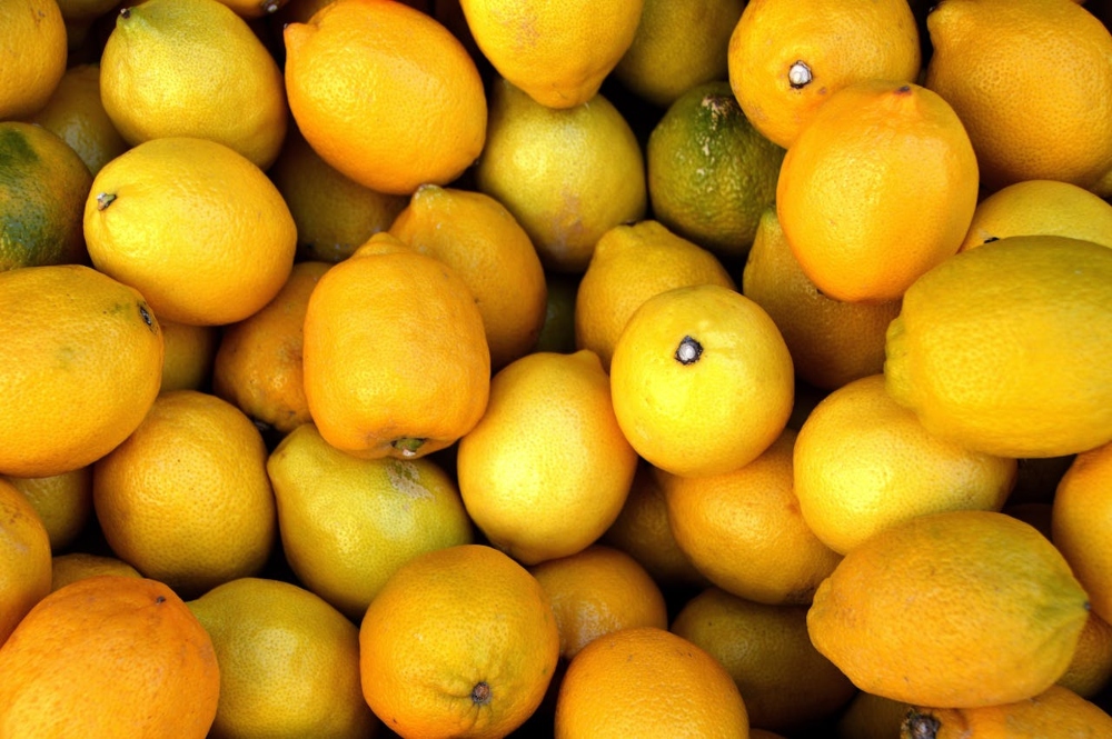 Productos de las plantas del vivero de limones más grande del mundo. 