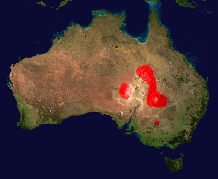 En rojo, los sectores de Australia donde habita la serpiente taipán. 
