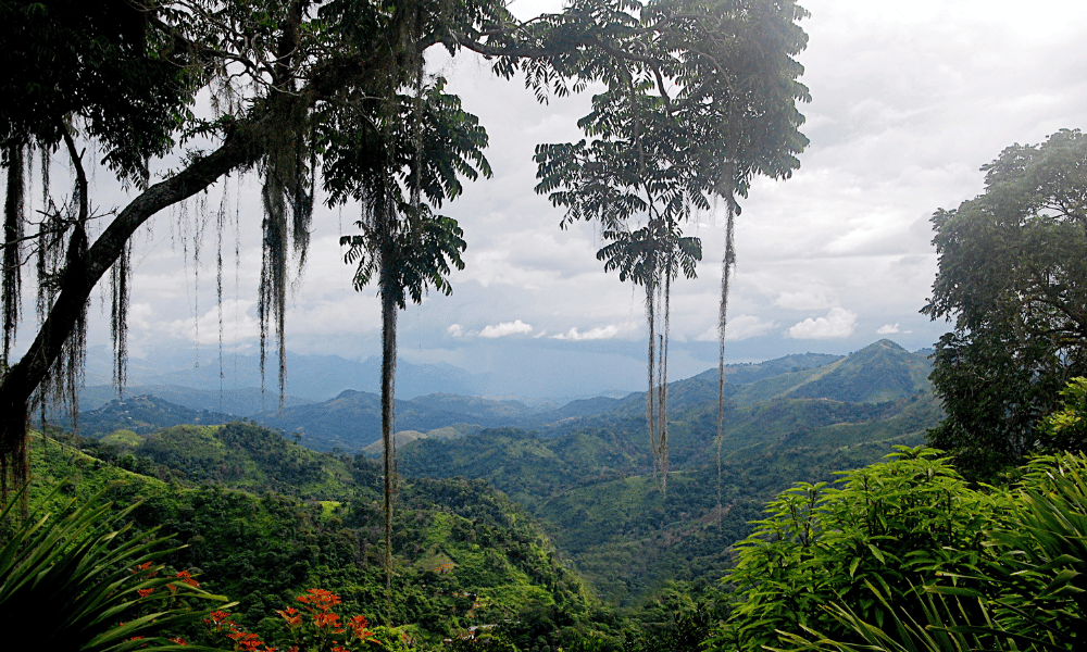 selva tropical de colombia, el pais más lluvioso con más lluvia del mundo