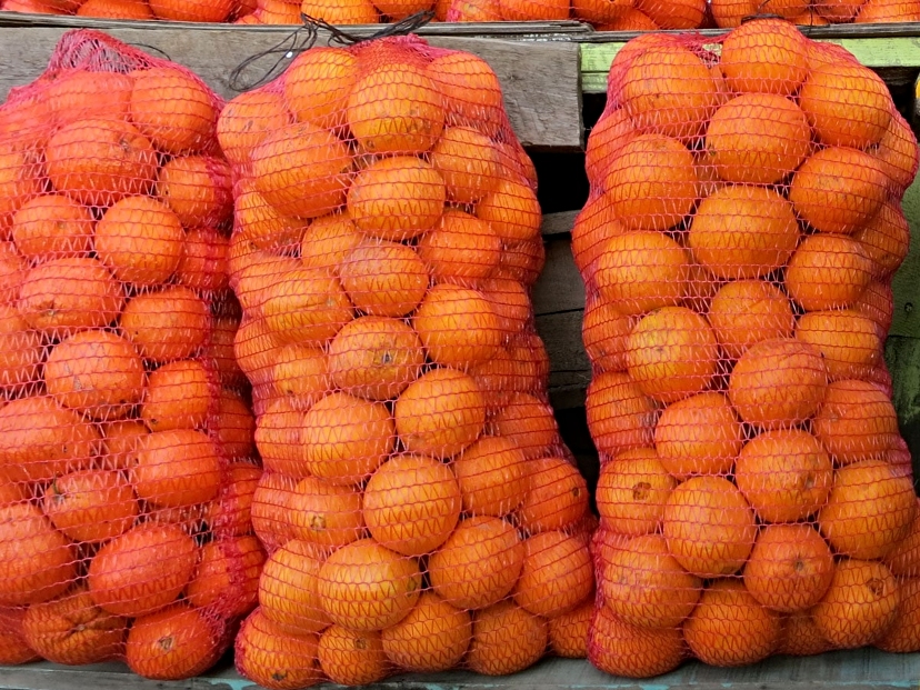 Naranjas de Argentina. 