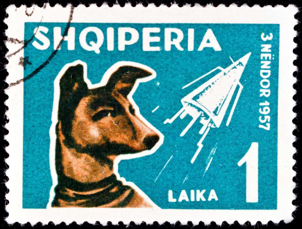 postal de laika la perra espacial