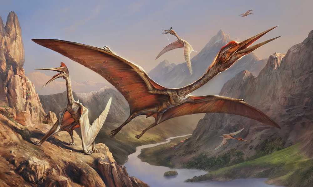 Quetzalcoatlus, animal volador prehistórico.