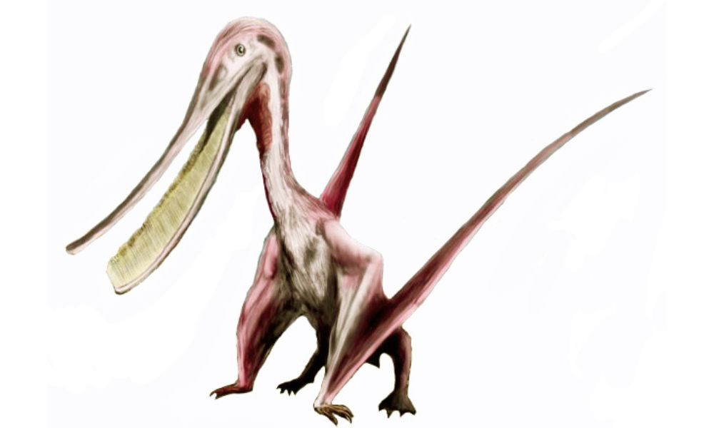 Dinosaurios argentinos: Pterodaustro