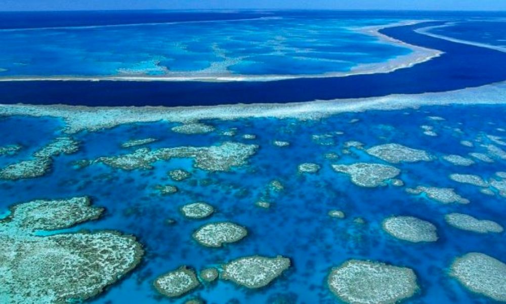 Barrera de arrecifes del Gran Agujero Azul